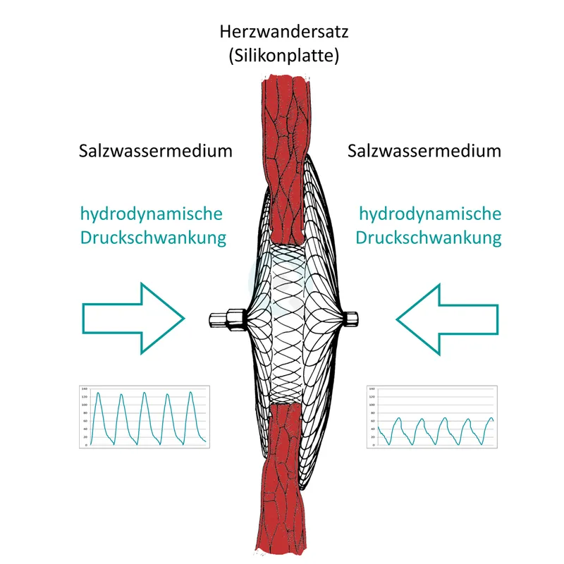 Occluder pulsatil hydrodynamisch Dauerfestigkeit Fatigue ISO 22679